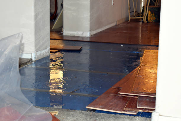 Professional Flood Damage Restoration technician working in Old Chatham, NY